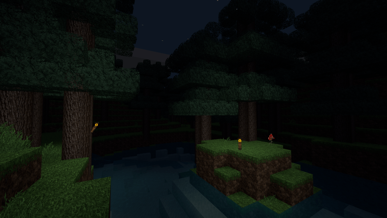 Pine forest at night