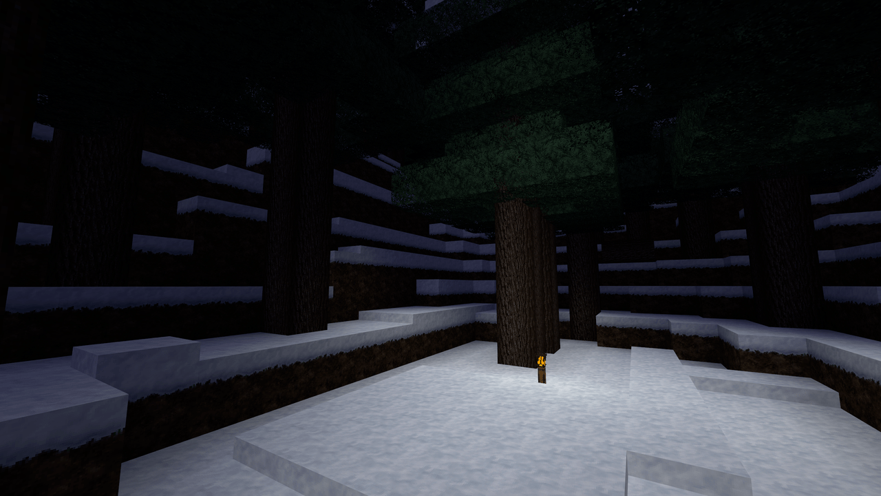 Snow forest at night with a torch